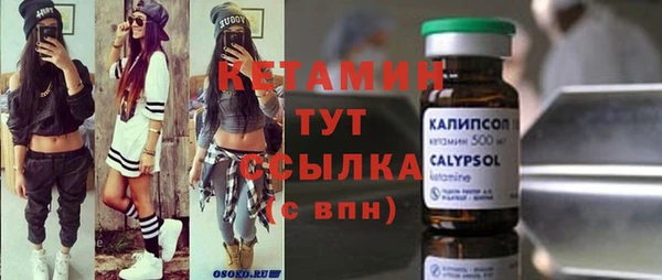 шишки Абаза