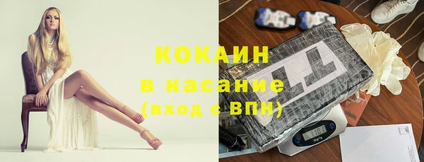 шишки Абаза