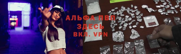 шишки Абаза