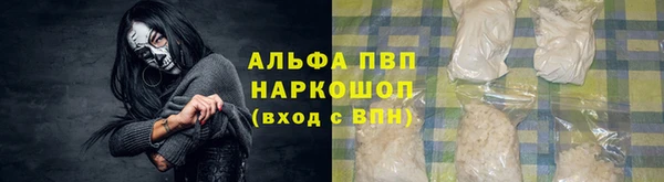 шишки Абаза