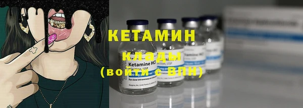 шишки Абаза