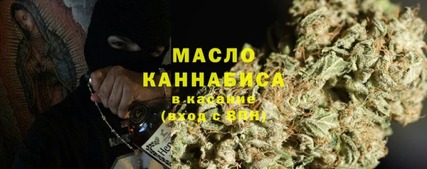 шишки Абаза