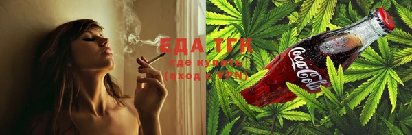 шишки Абаза