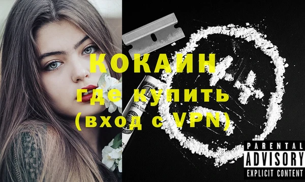 стаф Пересвет